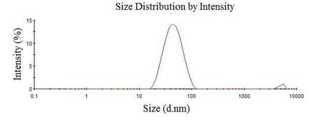 Image result for Size Distribution Patterns