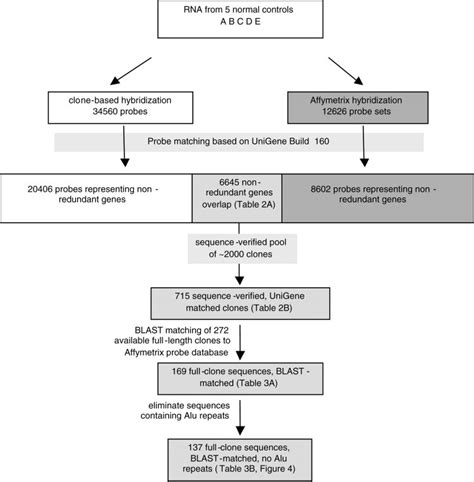 Image result for Flowchart for Comparing 2 Opject