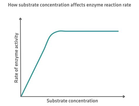 Image result for Enzyme Substrate Concentration Graph