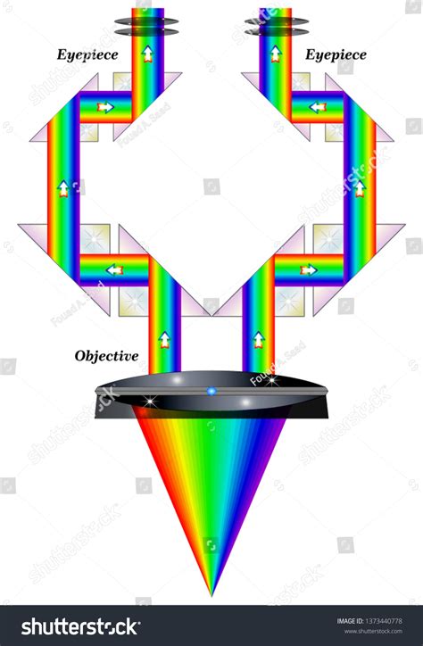 Stereoscopic Microscope Stereo Microscope Magnification Stock Vector ...