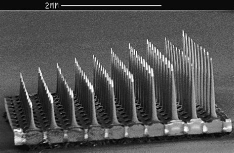 Afbeeldingsresultaten voor Utah Array