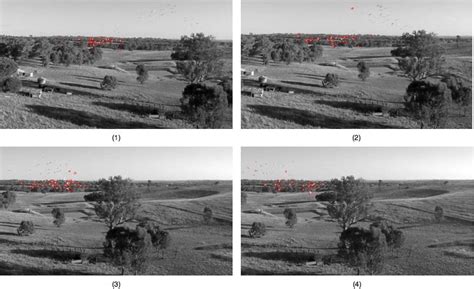 Perceptron Algorithm Bird に対する画像結果