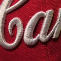 Image result for Puffed Embroidery