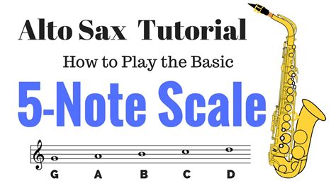 Base Beginner Scale కోసం చిత్ర ఫలితం