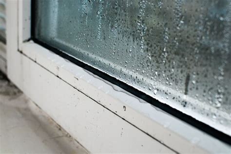 Image result for Damp Over Window