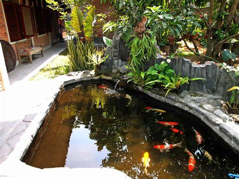 Afbeeldingsresultaten voor How to Build a Koi Pond Cheap