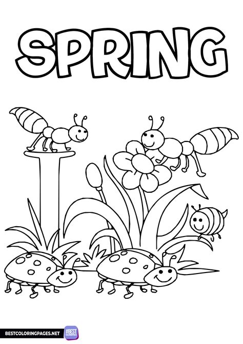 Image result for Spring Bugs Coloring Pages