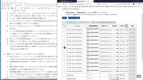 File Dcem に対する画像結果