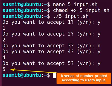Toradh íomhá ar While Loop in If Statement Linux with Functions