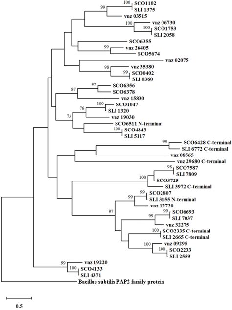 Image result for Maximum Likelihood Evolution