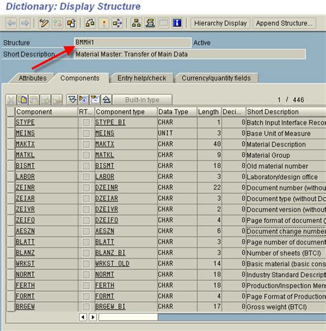Toradh íomhá ar LSMW Direct Input Sample Data