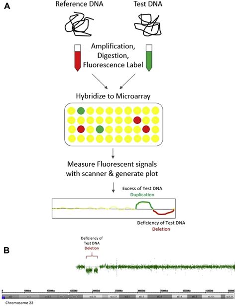 Microarray Data Patterns に対する画像結果