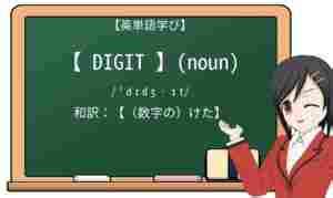 Image result for Digit Hond