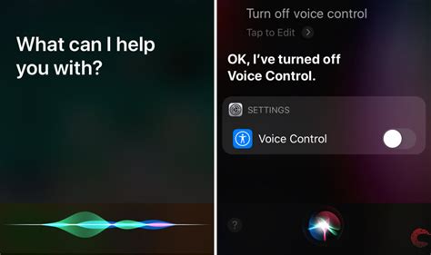 Toradh íomhá ar Turn Off Voice Control Windows