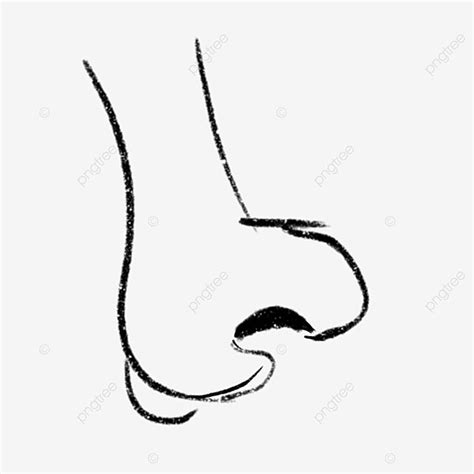 Bow Nose Stop に対する画像結果