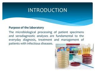 Toradh íomhá ar Basic Microbiology Lab Layout
