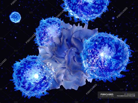 Image result for Dendritic Cells in Microscope