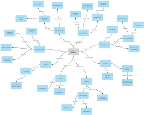 Image result for Create Concept Map