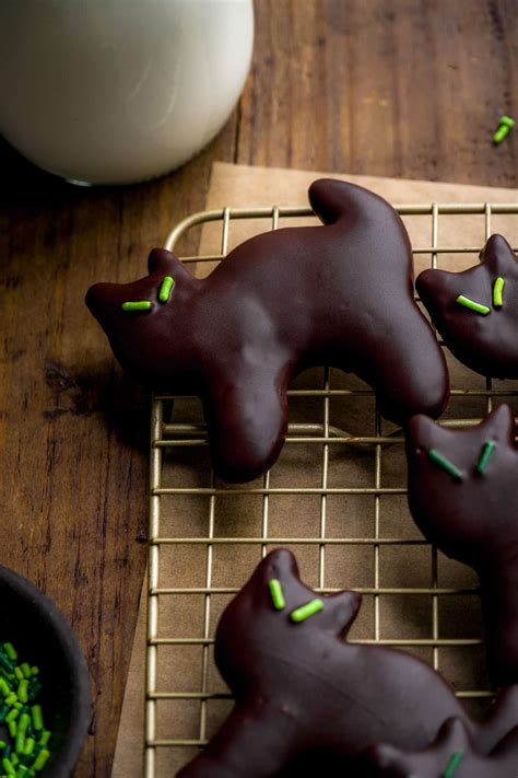 Image result for Allowing Cat Cookies Computer