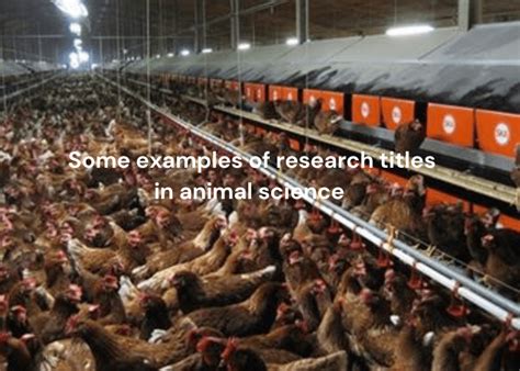 Toradh íomhá ar Animal Science Topics