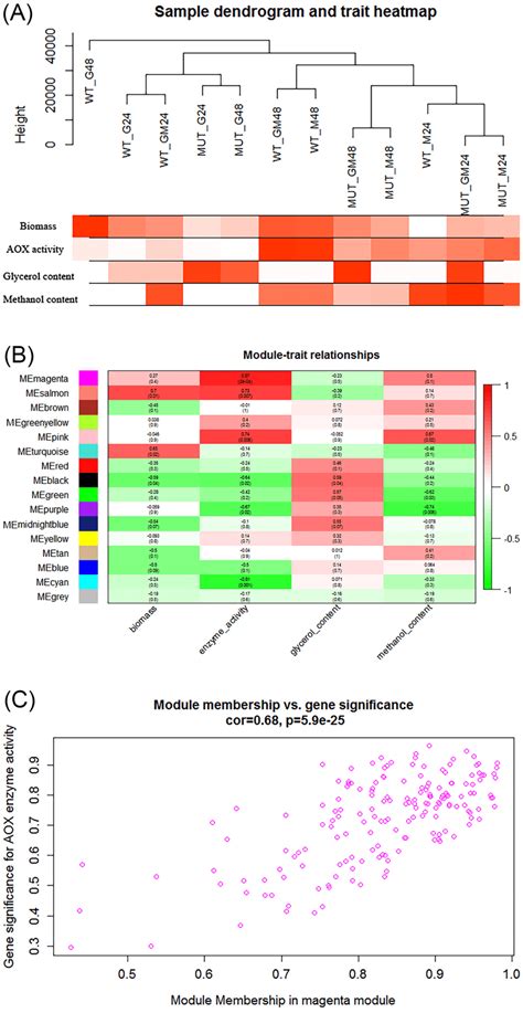 Toradh íomhá ar Simple Dendrogram and Trait Heatmap