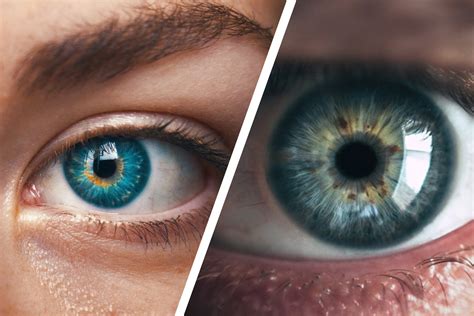 Toradh íomhá ar Table Catch the Light