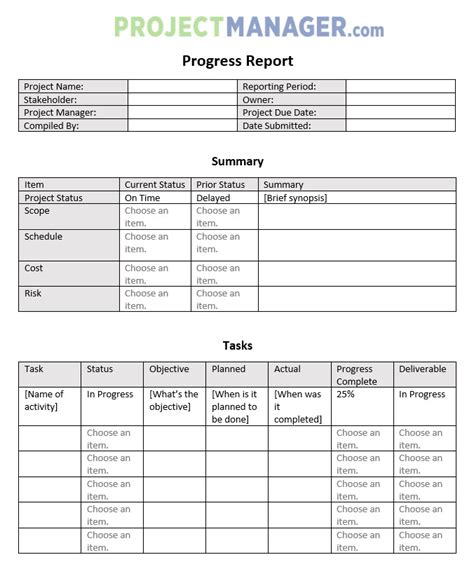 Image result for Sample Progress Report Format