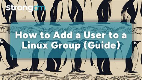 Image result for How to See What Groups Users Are in Linux Rocky