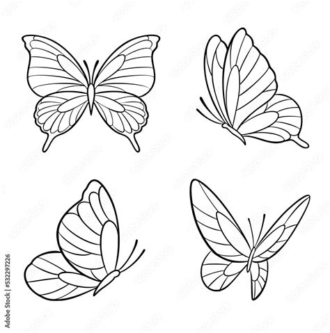 Image result for Outlines Simplistic