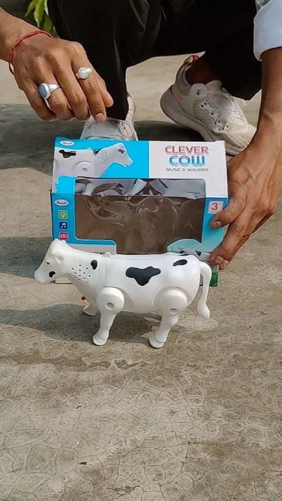 Image result for Wireless Remote Control Cow Sound