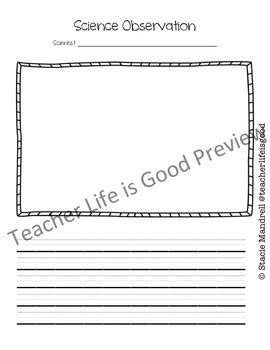 Image result for Science Observation Form