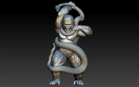 Toradh íomhá ar Python Model Description