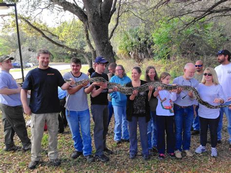 Image result for Python Patrol in Florida