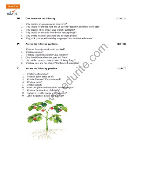 Image result for Case Study Examples Class 6 Science