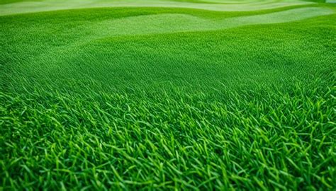 Image result for Golf Turf Types