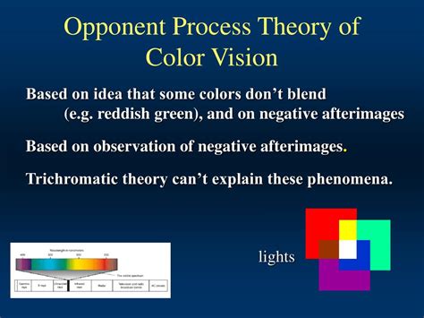 Image result for Opponent Process Theory Vision Reflect