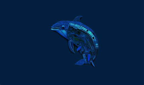 Use Table MySQL ਲਈ ਪ੍ਰਤੀਬਿੰਬ ਨਤੀਜਾ