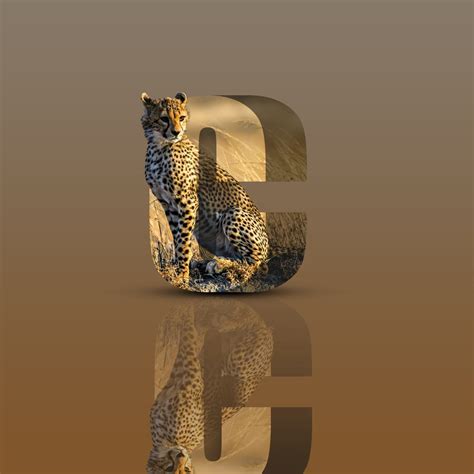 Image result for Java 3D Text Art