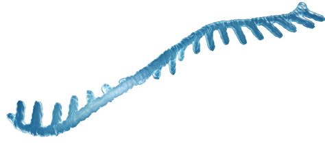 Image result for Transcriptomics PNG