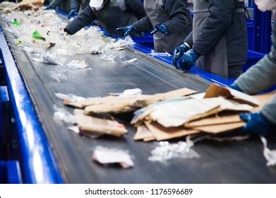 Toradh íomhá ar Paper Recycling Process Worksheet