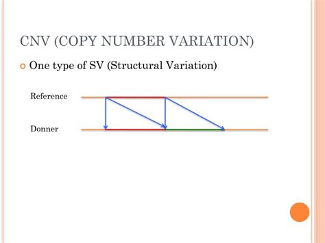 Image result for Copy Number Variation Cnv Plot Depth