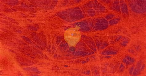 Gore Textures Unity に対する画像結果