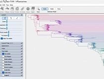 Image result for Fig Tree Software Evolution