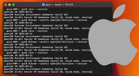 Afbeeldingsresultaten voor Java MacBook