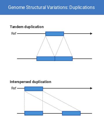Toradh íomhá ar Structural Variation