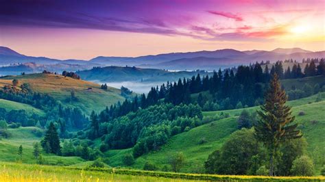 Image result for Google Chrome Search Browser