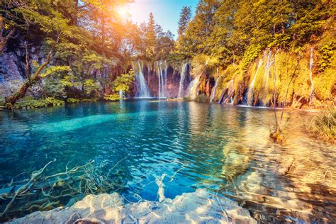 Image result for Nature Showcase GIF