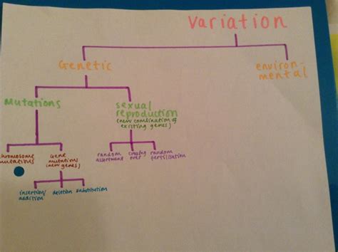 Image result for Different Types of Variation Biology
