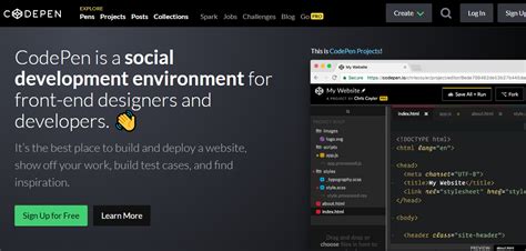 Basic HTML Web Page CodePen に対する画像結果