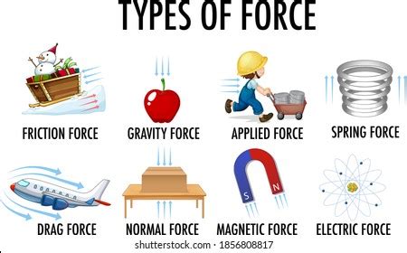 Image result for Force Graph Physics